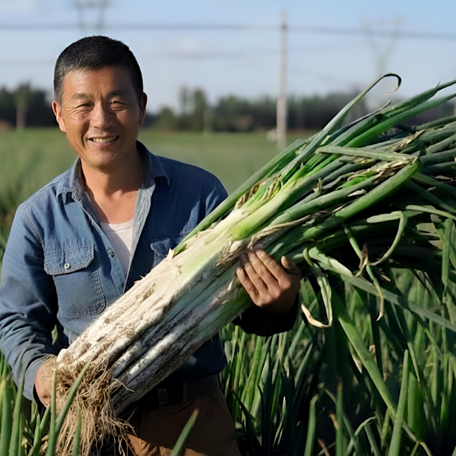25년 국내산 노지 흙대파 업소용, 1개, 10kg