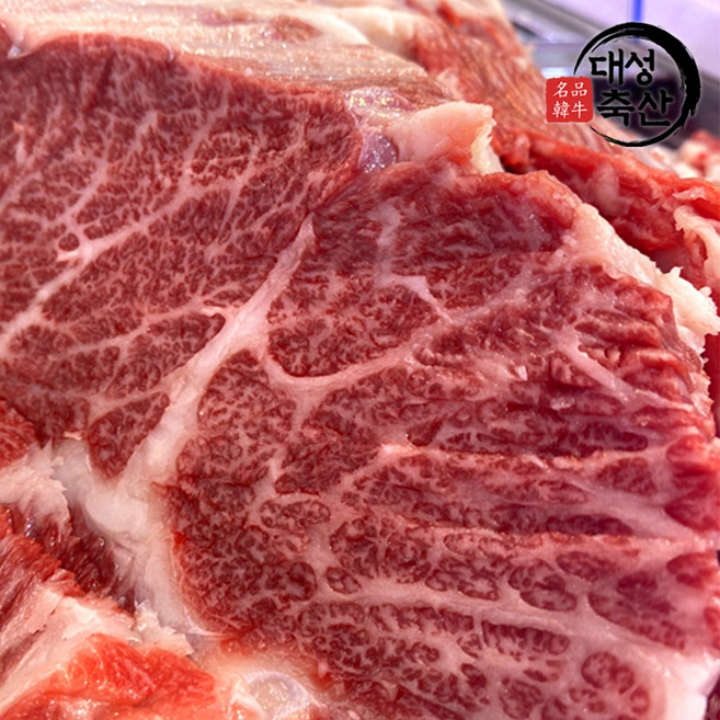 대성축산 한우 1++등급 No.9 갈비 1kg 등갈비 갈비찜 갈비구이 소갈비탕, 1개