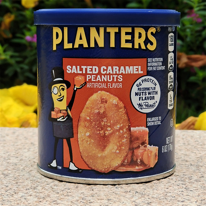 플랜터스 솔티드 카라멜 피넛 170g, 1개