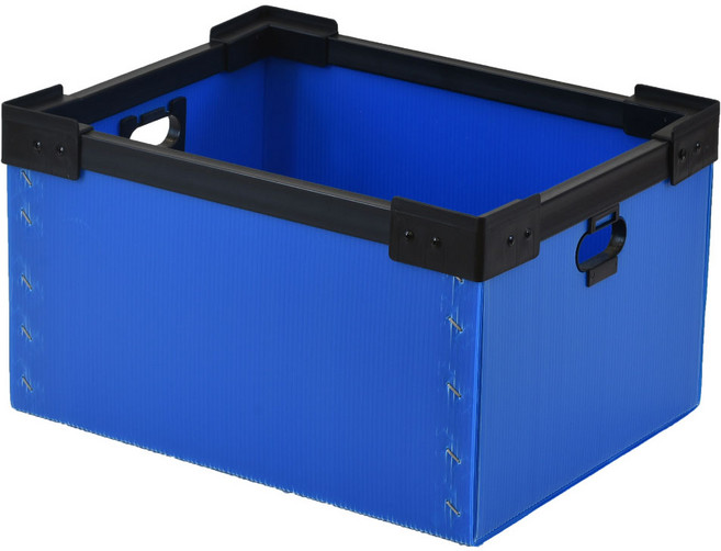 뉴프라테크 단프라박스C형, 1개, 청색