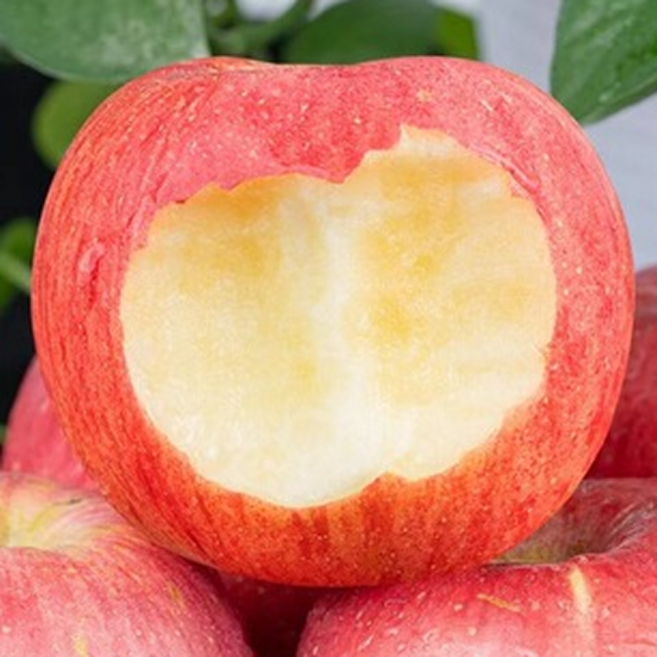 [25시간특가] 산지직송 과즙가득 아삭아삭 부사사과, 1박스, 2kg (가볍게 맛보기)