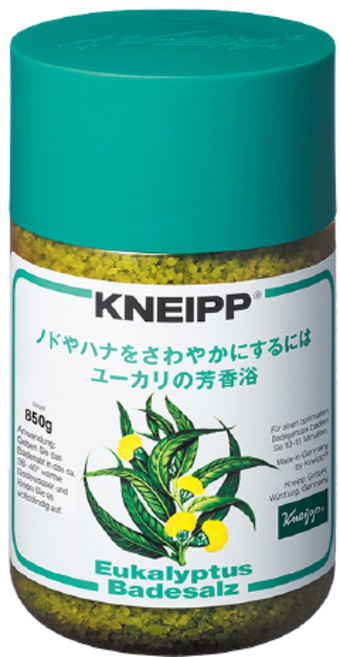 Kneipp 크나이프 바스솔트 입욕제 유칼립투스 850g, 1개