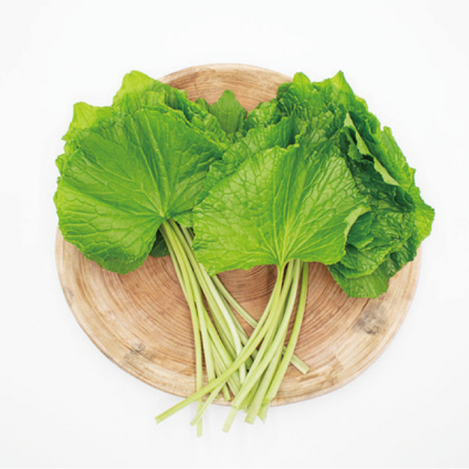 철원 고추냉이잎 와사비잎 500g 1kg, 1박스