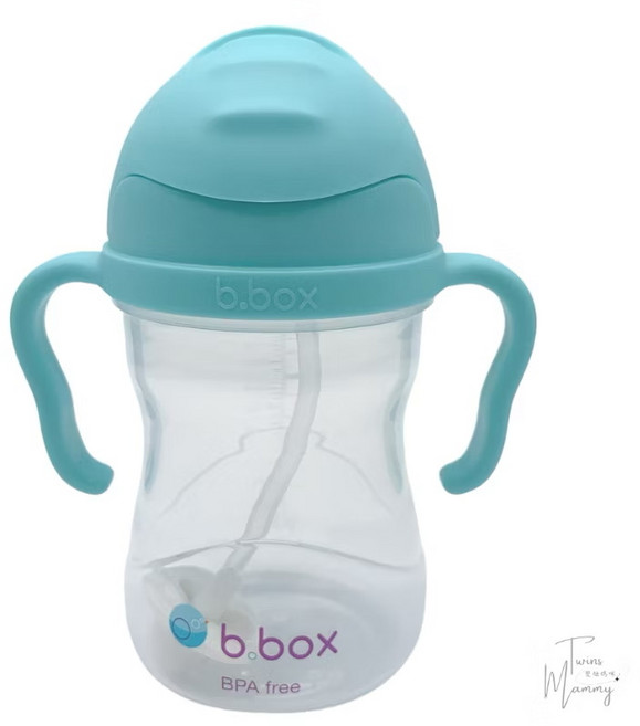 b.box 二代防漏吸管學習水杯 240ml 湖水綠, 二代杯#湖水綠, 1個