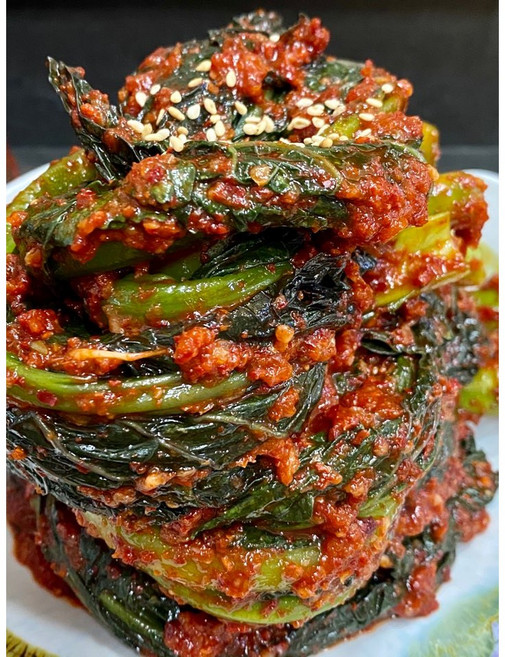 해남땅끝모녀반찬 갓김치, 1kg, 1개