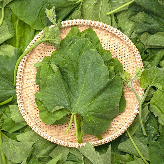 2026 국내산 어린 생 호박잎, 400g, 1개