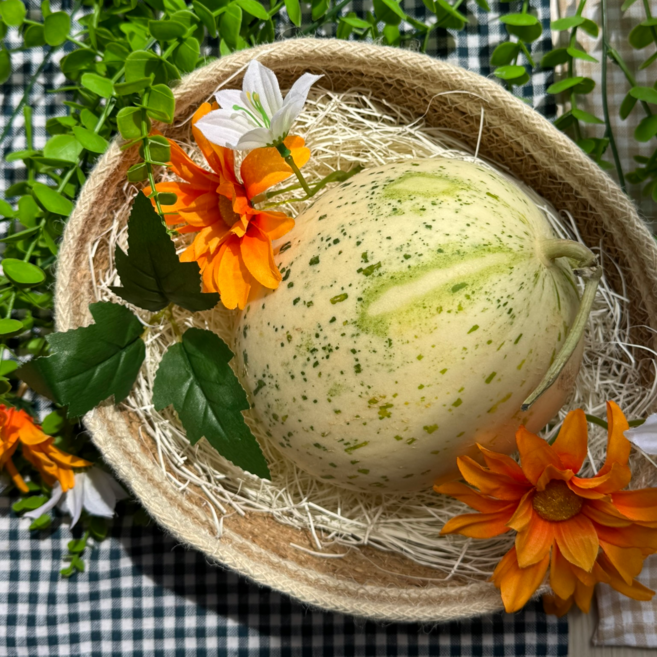 자연한입청과 함안 제철과일 백자메론, 1개, 4.5kg (3통)