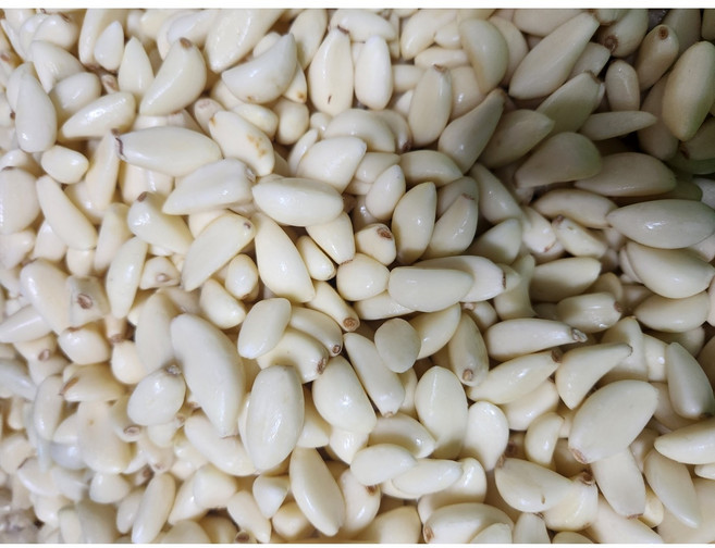 의성마늘 깐마늘 햇마늘 통마늘, 1개, 대마늘 500g