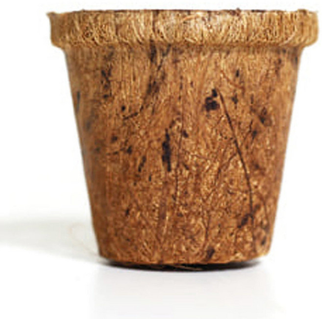 코코넛 원형화분 미니 소형 화분 인테리어