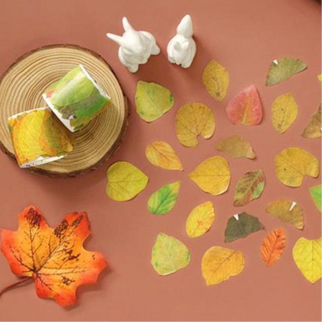 가을 엽서 만들기 꾸미기 낙엽 나뭇잎 장식테이프 5p 미술재료 감성발달 아동, 박달나무 잎, 1개