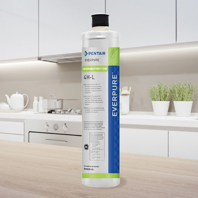 EVERPURE 4HL濾心 美國原裝進口 進階除鉛系列, 單入裝(售出無保固), 1個, 單入裝(售出無保固)