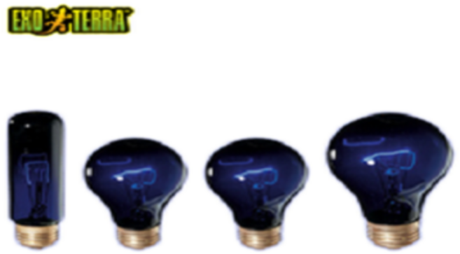 EXO-TERRA 엑소테라 나이트 히트 램프 / 파충류용품 / 도마뱀용품 / 파충류램프 / 도마뱀램프 / 거북이램프 / 사육장램프 / 사육장조명 / 파충류히터, 25w, 1개