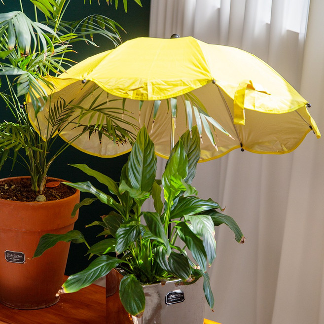 아이스타스 야외 식물용 파라솔 다목적 차양 정원 캐노피 우산, 레인보우