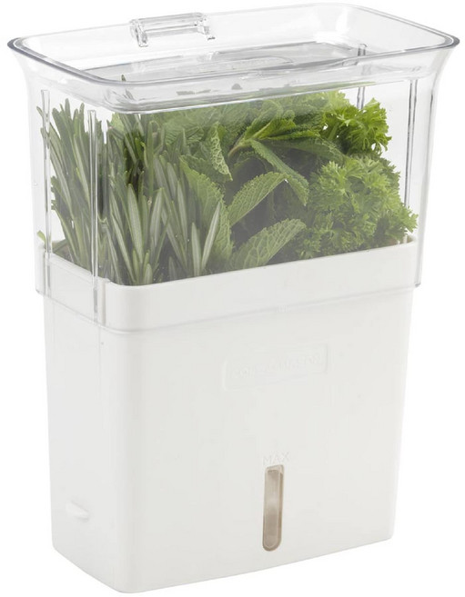 Cole & Mason H105159 Tealby 프레시 컷 허브 키퍼 허브 냄비/보관/허브 세이버/박스 아크릴 탈착식 칸막이 포함 화이트/투명 (H) 230mm x (, 1개