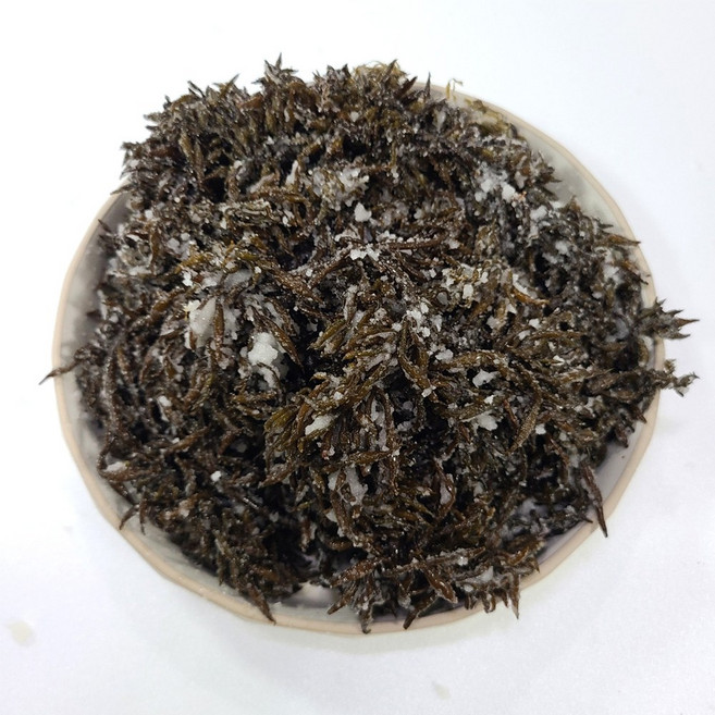 초록수산 염장 톳 1kg 4kg 10kg, 염장톳 10kg