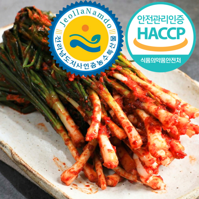 [한국김치대상] 맛보면단골 감칠맛폭발 여수 파김치, 1박스, 3kg