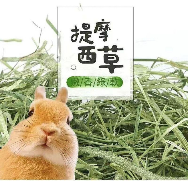 寵物提摩西牧草 嚴選嫩香綠軟, 1kg, 1個