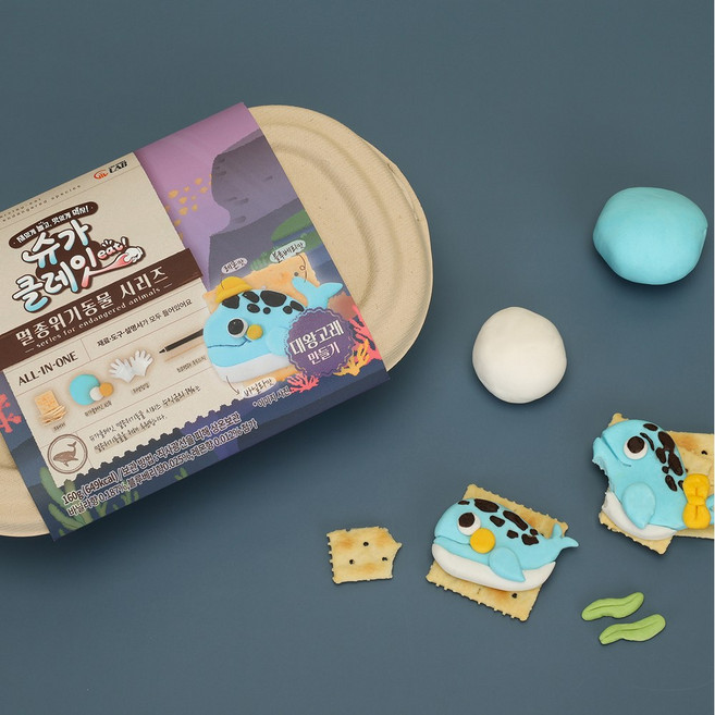 슈가클레잇 굽지않고 먹는 쿠키만들기 슈가클레이 크리에이터스랩, 대왕고래, 1개