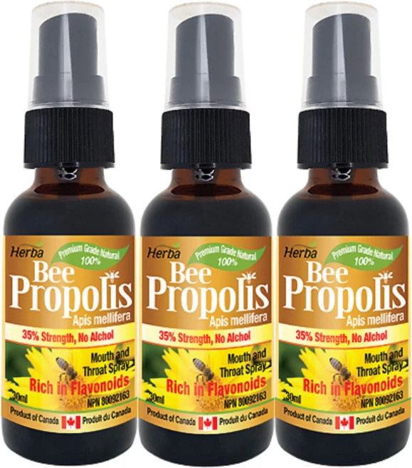 비 프로폴리스 알콜프리 스프레이 30ml Bee Propolis 플라보노이드 함유 허바 캐나다, 3개 - 쿠팡