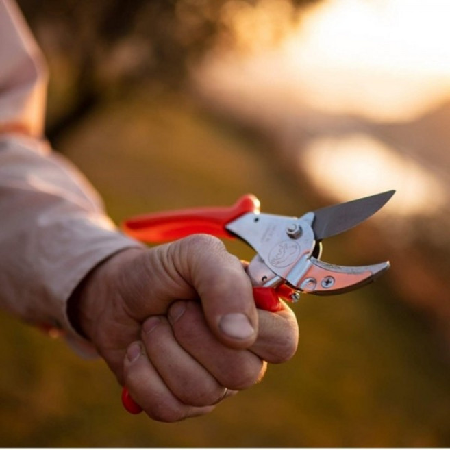 MADE IN GERMANY 뢰베(LOWE) 테프론코팅 양손겸용 앤빌 전정가위 10.107, 1개