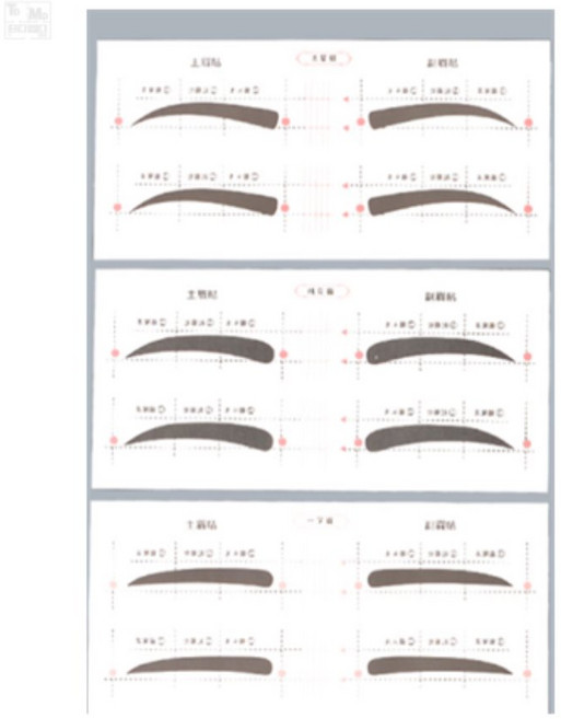 티디엠디 눈썹스티커 일자눈썹가이드, G타입, 1