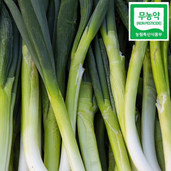 친환경 무농약 흙 대파 1kg 2kg 3kg, 1박스, 무농약 대파 1kg