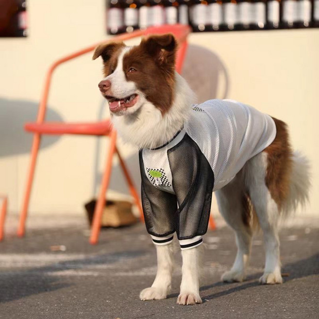 잔느펫 중대형견 배색 매쉬 여름 티셔츠, 1개, 화이트