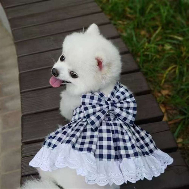 MOSAIRATION 여성 강아지 원피스 체크 무늬 드레스 레이스 장식 봄 여름 귀여운 애견 의상 W10, 1개, 블랙