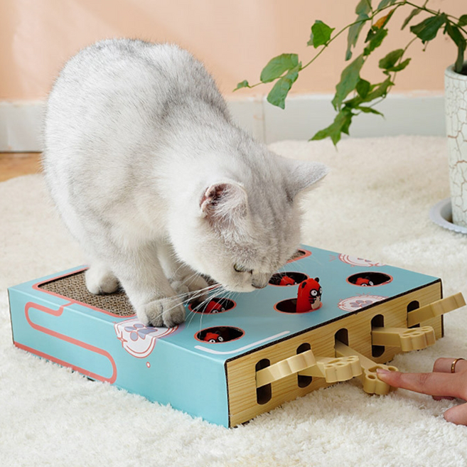 고양이 두더지 잡기 장난감 낚시 사냥놀이, 1개