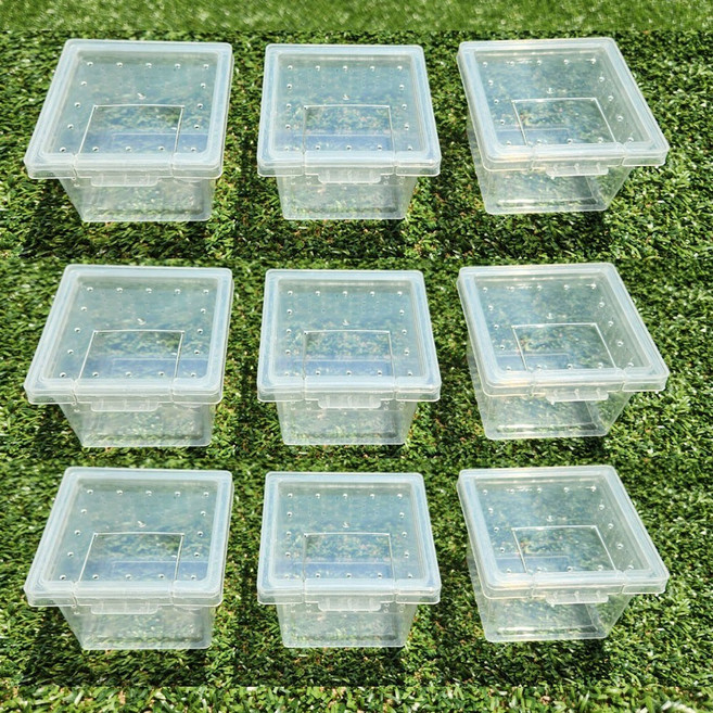 [꼬망구] 파충류 알보관 케이지, 9개, 투명