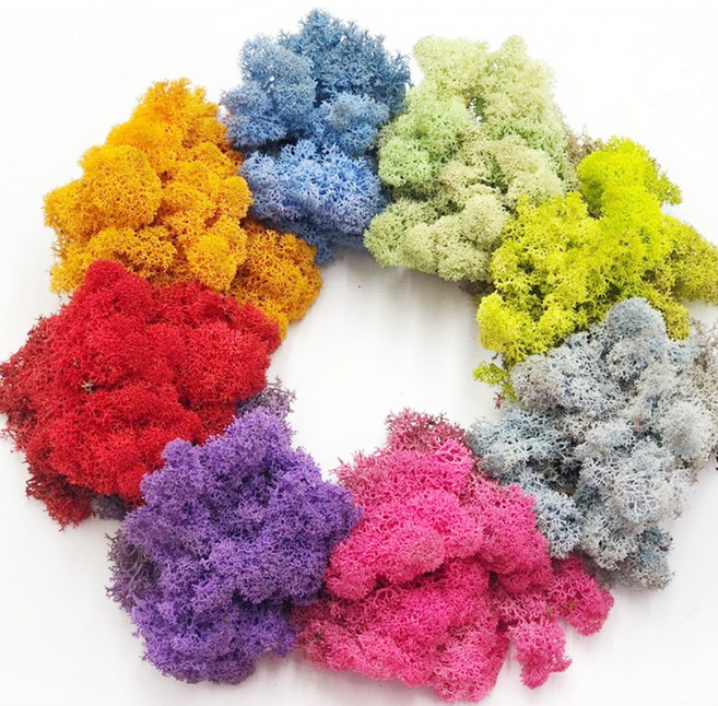 스칸디아모스 소분 20g 30g 50g 500g 소포장 DIY, 민트20g, 1개