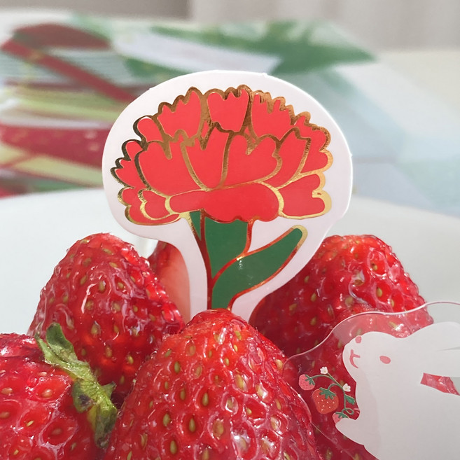 카네이션 케이크픽 카네이션픽 카네이션토퍼 카네이션택, 100개