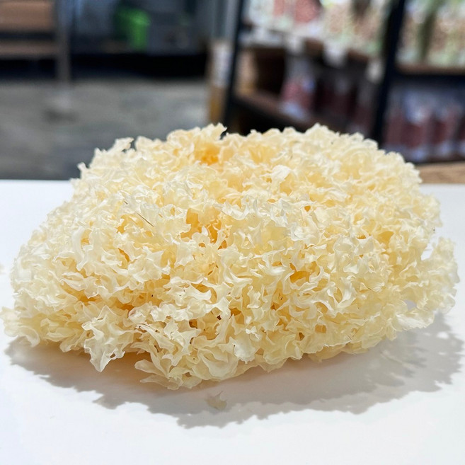 天然白木耳乾，銀耳，適合煮甜湯、燉湯, 1個, 白木耳乾1朵35~40g