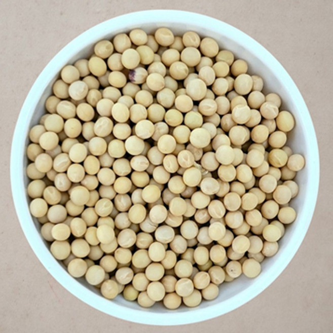 [다온농산] 2025년산 국산 백태/메주콩/흰콩/두부콩 -2Kg- (강원도 홍천 인제 농가), 2kg, 1개