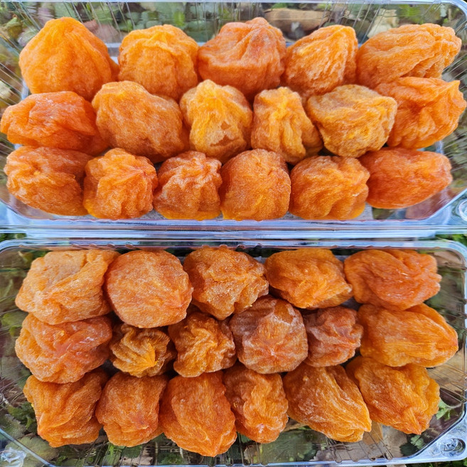 산청 햇 반건시 곶감 500g 농가직송 직접생산, 1개, 산청고종시 햇 반건시500g