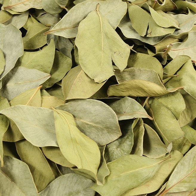 국내산 말린 구아바잎 150g (건조 구아바잎차), 6박스