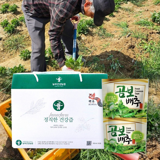 정직한 곰보배추즙 100ml 대추첨가 진액, 50개