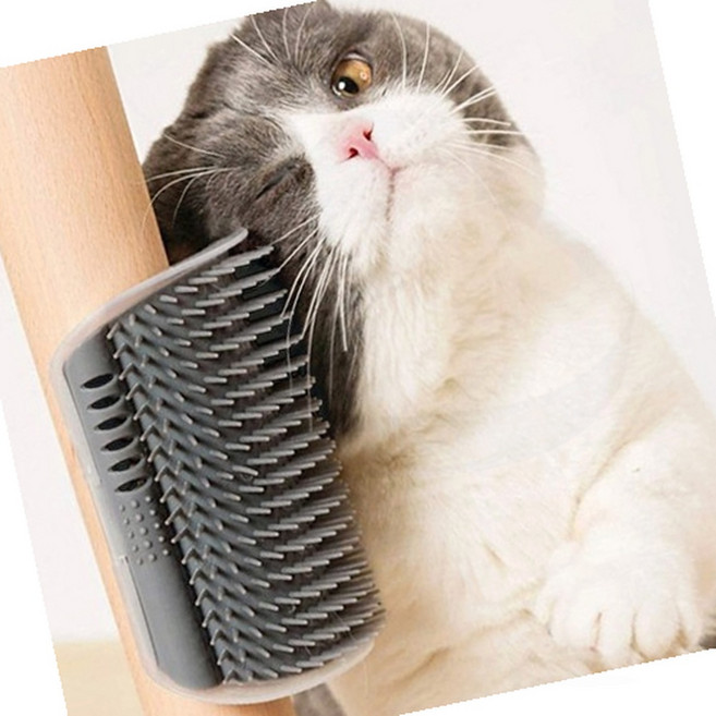 고양이 빗 셀프 그루밍 코너 마사지 벽면 부착형 자동, 1개