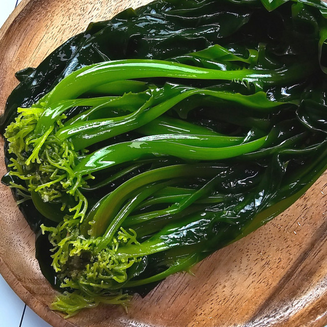 청정완도 햇 생미역 물미역 1kg, 1개