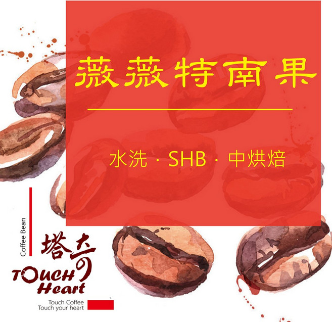 塔奇 微微特南果 掛耳咖啡包 50入, 詳見包裝, 詳見包裝, 詳見包裝