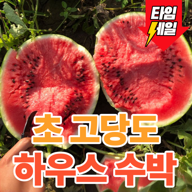 [최저가도전] 아삭하고 달콤한 초고당도 하우스수박, 1개, 6kg내외