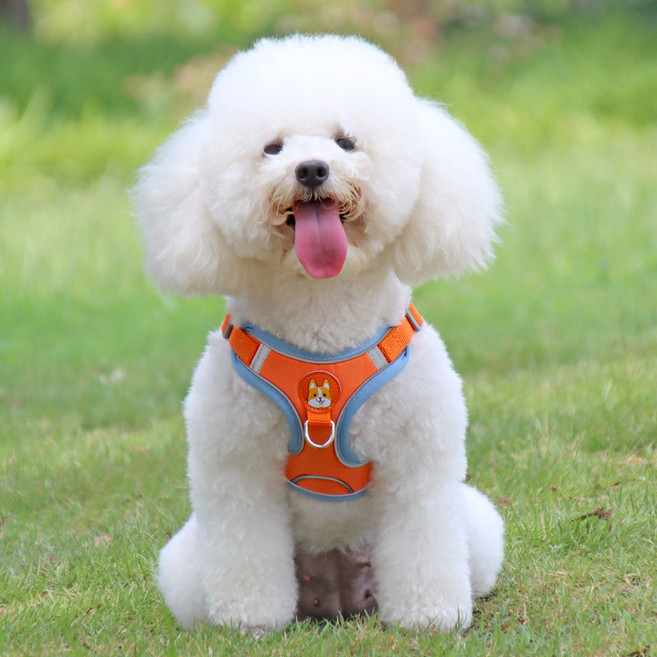 강아지 반사 가슴밴드 조끼형 견인줄 세트, 1개, 주황색
