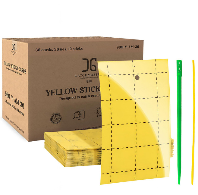 Catchmaster GRO Yellow Regular Double Sided Sticky Traps 36PK Adhesive Bug & Fruit Fly Trap Pes, 1개, 노란색