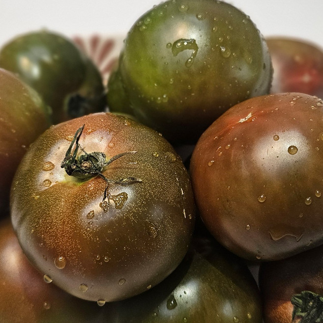 GAP인증 흑토마토 고당도 산지직송 블랙토마토 쿠마토, 1개, 5kg