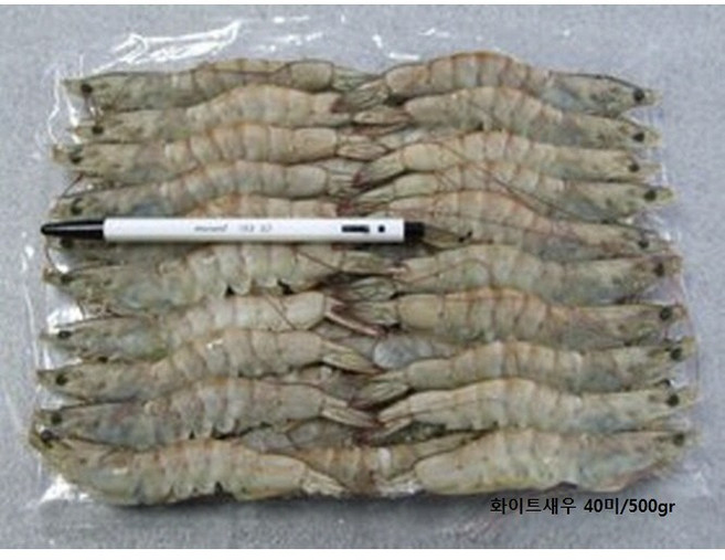 프라임새우, 40미(화이트새우)