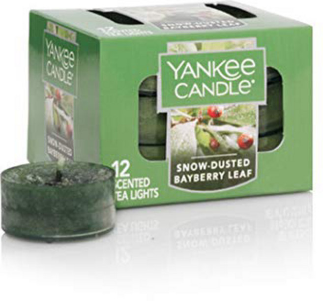 양키 캔들 눈이 쌓인 베이베리 잎 12개 티라이트 Yankee Candle Snow-Dusted Bayberry Leaf 12 Tea Lights, 1, Green