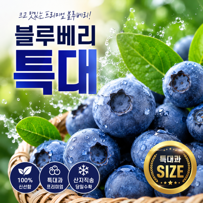 국내산 산지직송 특대 생 블루베리, 1개, 200g (100g x 2팩)