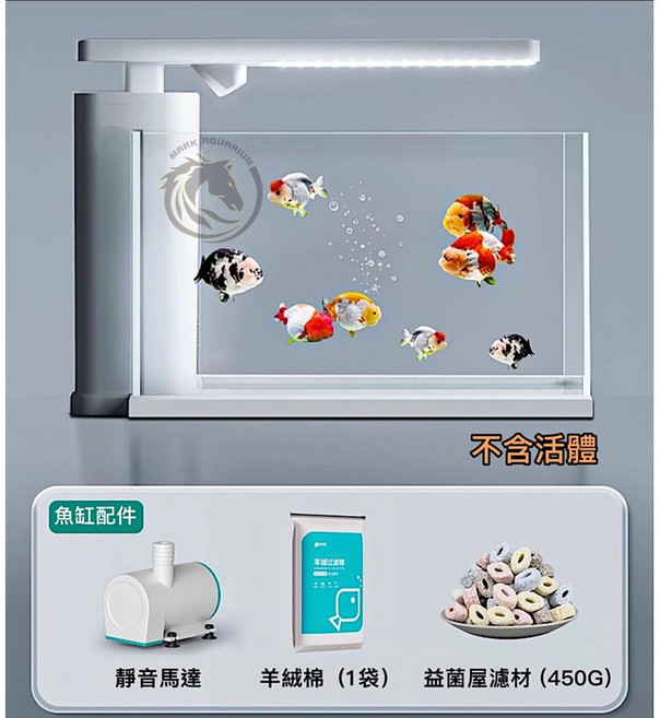 馬克水族 南美生態小魚缸, 1個, 南美•生態小魚缸,送加熱棒