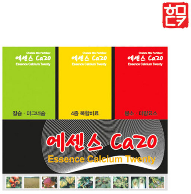 에센스 센스 Ca20 (750g) 4종복합 + 호미닷컴 전용 약수저 세트, 750g, 1개