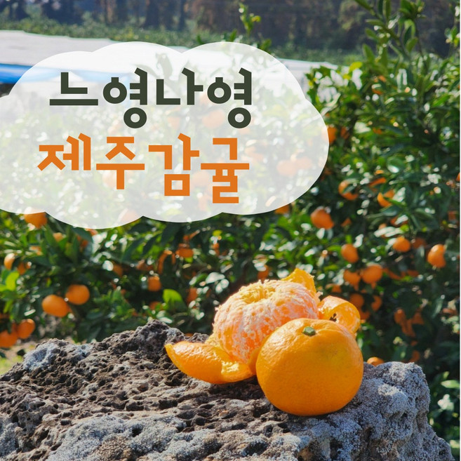 느영나영 제주감귤 조생귤 고당도 노지감귤 귤 10kg 3kg 5kg 15kg, 1박스, 5kg(L-2L)